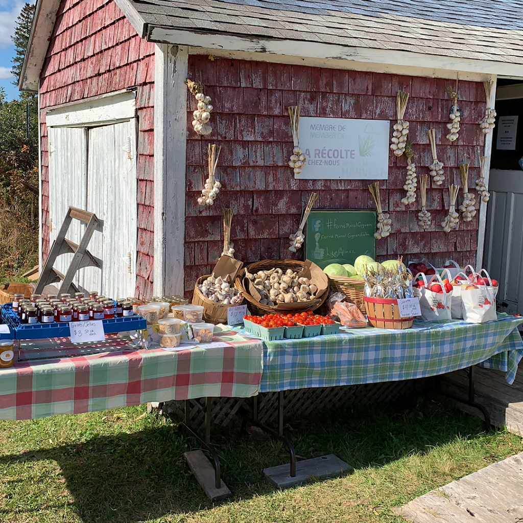 Ferme Marcel Goguen Farm | 475 Chemin Cocagne S, Cocagne, NB E4R 2K2, Canada | Phone: (506) 576-6307