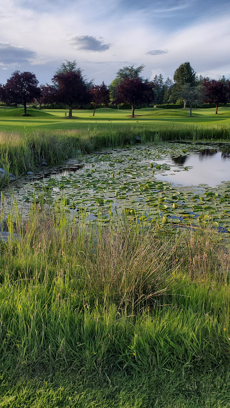 Cordova Bay Golf Course | 5333 Cordova Bay Rd, Victoria, BC V8Y 2L3, Canada | Phone: (250) 658-4444