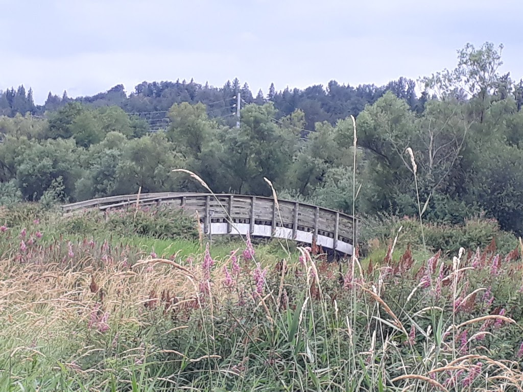 Willband Creek Park | Bateman Rd, Abbotsford, BC V2S 7Y8, Canada | Phone: (604) 853-2281