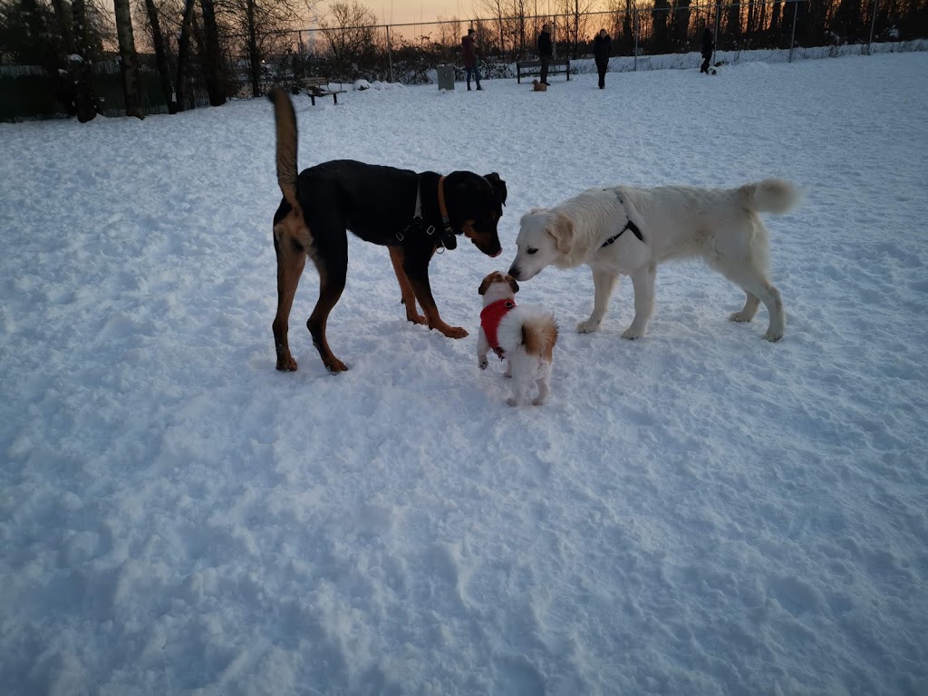 Quayside Dog Area | 6P2, 3 Rialto Ct, New Westminster, BC V3M 6P2, Canada
