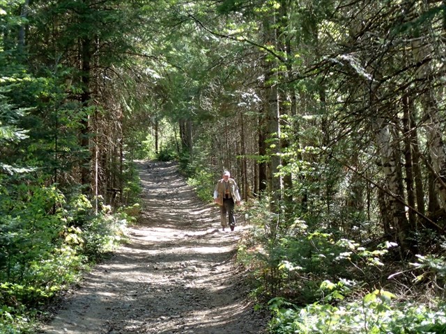 Highlands East Visitor Information Centre | 2786 Essonville Line, Wilberforce, ON K0L 3C0, Canada | Phone: (705) 448-2981 ext. 432