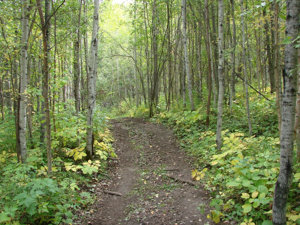 Rocky Top Atv Park | 27016 AB-663, Jarvie, AB T0G 1H0, Canada | Phone: (780) 206-7684