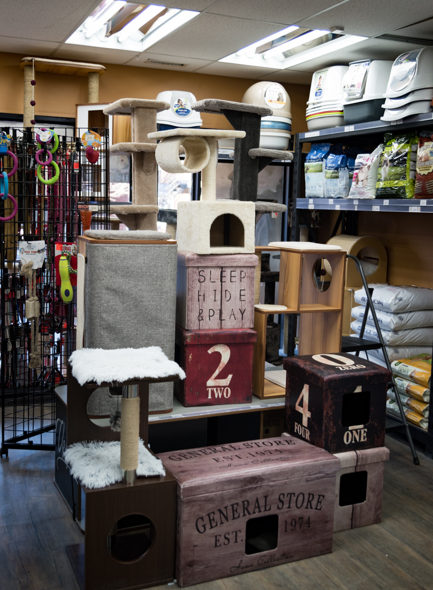 Paws and Claws | 3683 Rue Hochelaga, Montréal, QC H1W 1J2, Canada | Phone: (514) 419-1414