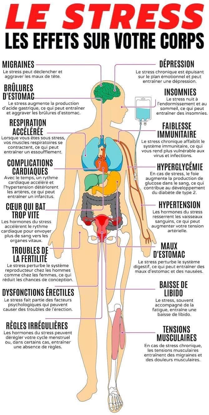 Les soins de santé Chantal Carolyne Bisson | 2500 A Rue de lOmbrette, Laval, QC H7L 4P4, Canada | Phone: (514) 296-6139