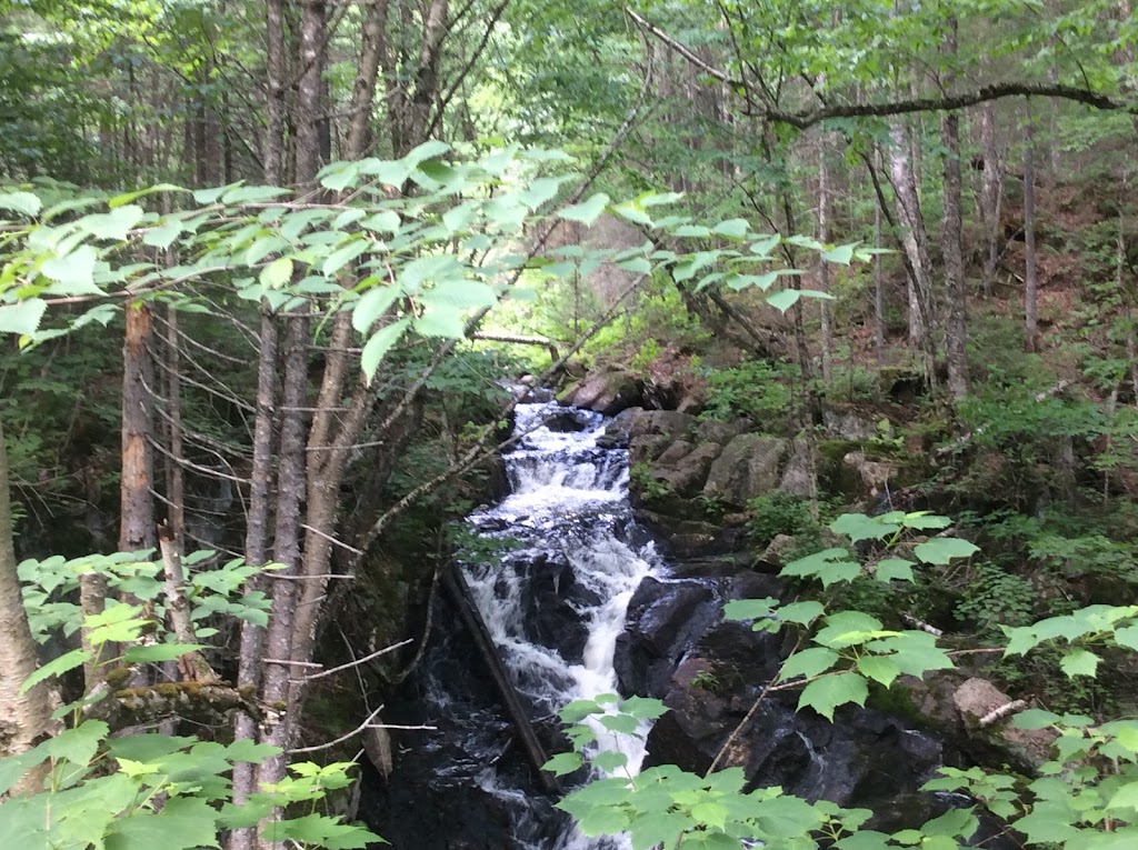Assoc Tawachiche | 202 Chem. Tawachiche, Lac-aux-Sables, QC G0X 1M0, Canada | Phone: (418) 289-2059