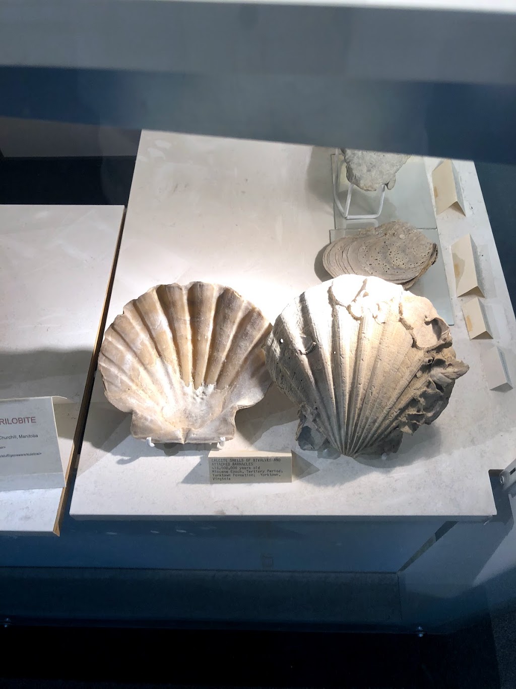Robert B. Ferguson Museum of Mineralogy | 125 Dysart Rd, Winnipeg, MB R3T 2M7, Canada | Phone: (204) 474-9371