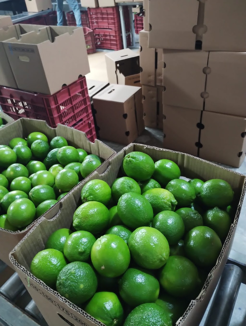 OHMEX PRODUCE | N/A, Vaughan, ON L4K 5H1, Canada | Phone: (647) 765-9477