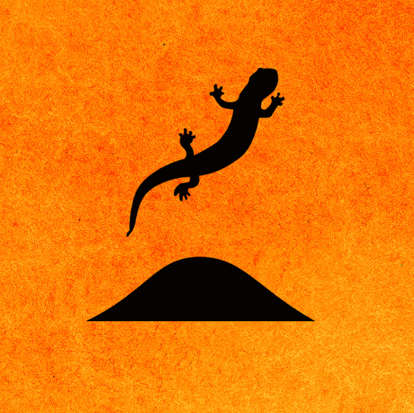 Salamander Hill Design | 1006 Chem. de la 1re-Concession, Elgin, QC J0S 2E0, Canada | Phone: (450) 264-6787