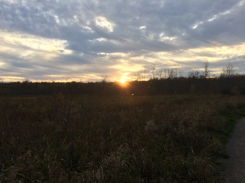 Dofasco 2000 Rail Trail | 204 Ridge Rd, Stoney Creek, ON L8J 2W1, Canada