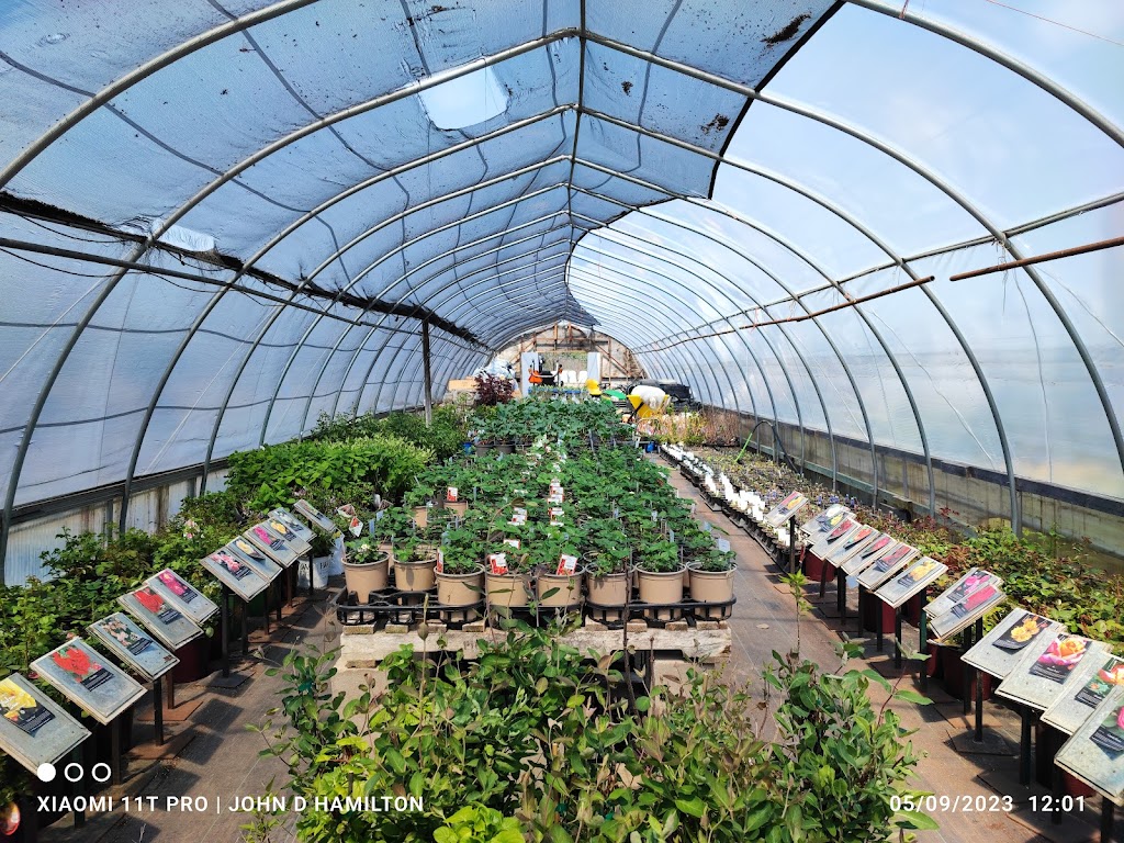 Sunset Nursery Garden Centre & Greenhouses | 2177 Greenwood Rd, Pembroke, ON K8A 6W2, Canada | Phone: (613) 638-4107