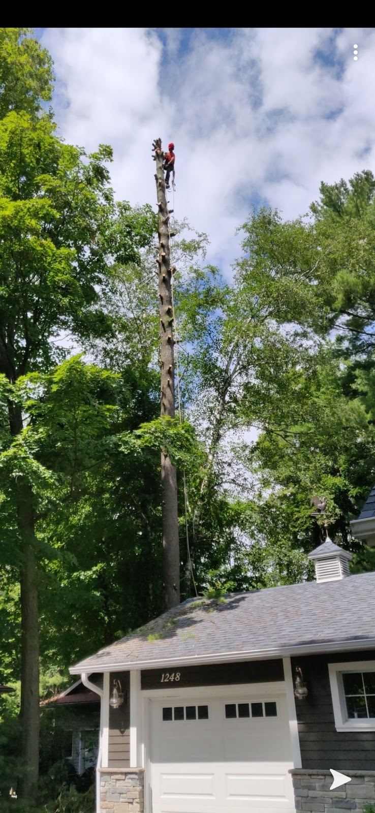 Cut-Rite Tree Service | 4279 5 Line N, Coldwater, ON L0K 1E0, Canada | Phone: (705) 737-6339