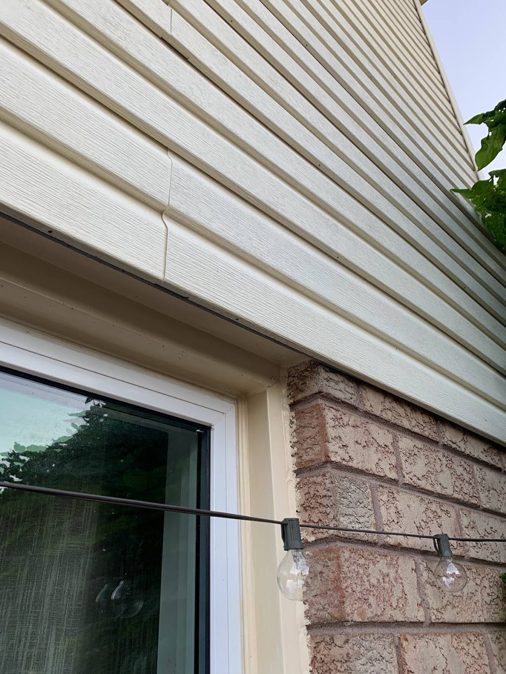 Zolo Pest Control Inc | 70 Cotton St, Bowmanville, ON L1C 5H2, Canada | Phone: (905) 244-1214