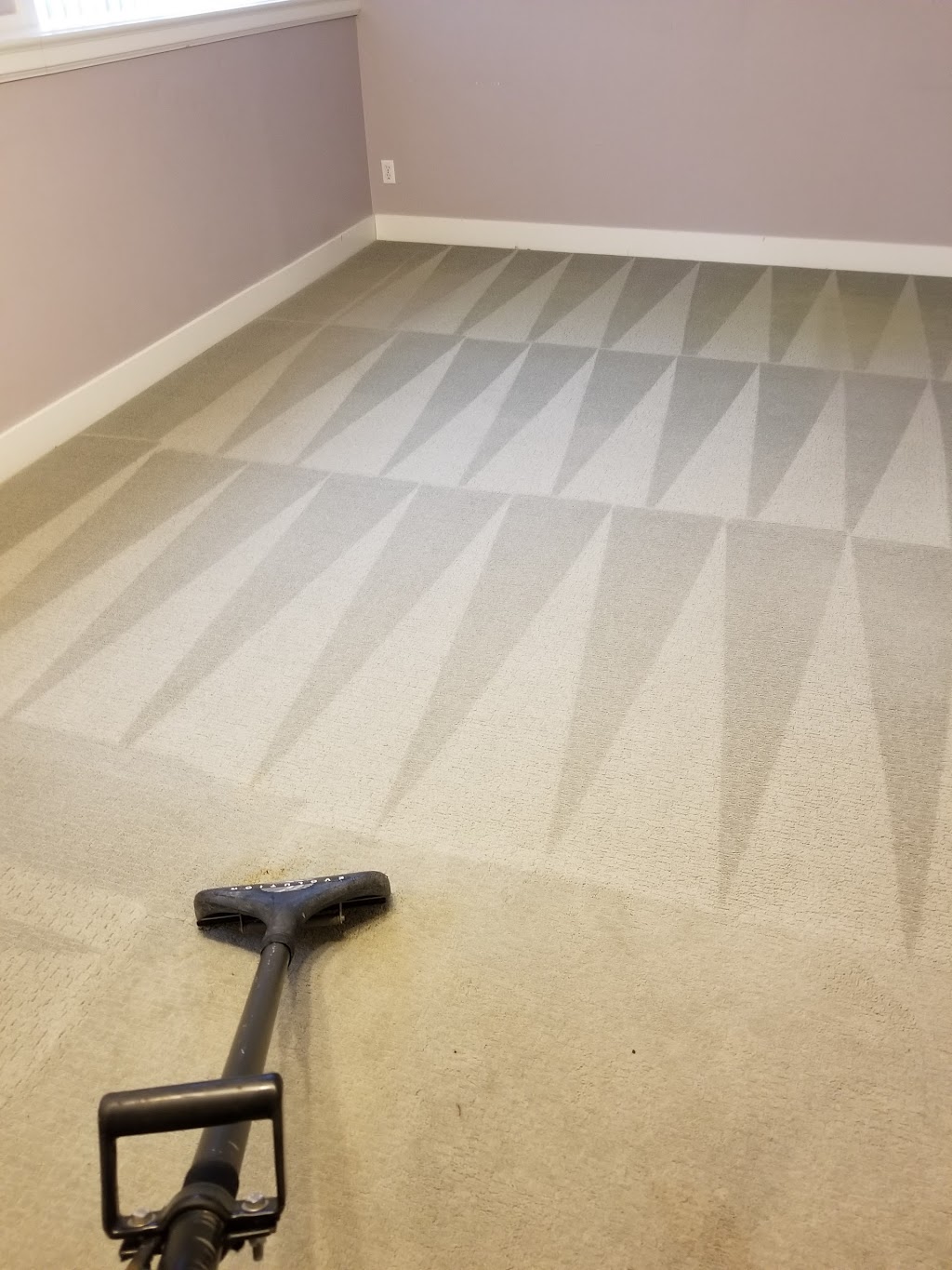 Lower Mainland Carpet Cleaning | 31483 Legacy Ct, Abbotsford, BC V2T 6W5, Canada | Phone: (604) 857-2727