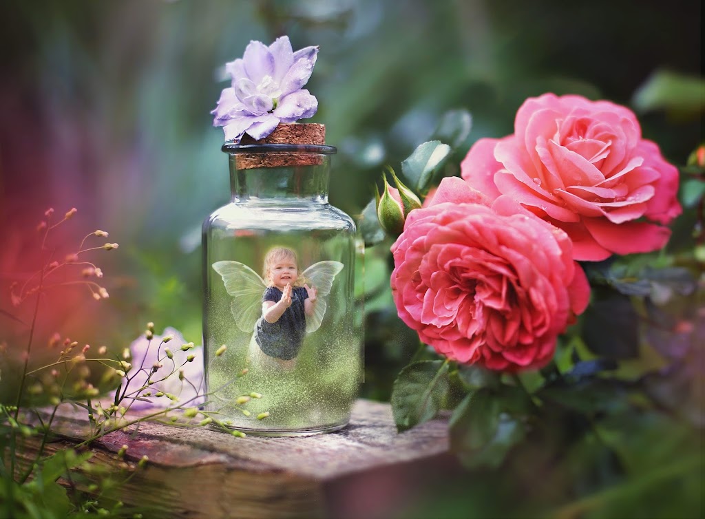 Shawn Davidson Photography | 73 Chaswood Dr, Dartmouth, NS B2V 2M1, Canada | Phone: (902) 441-3900