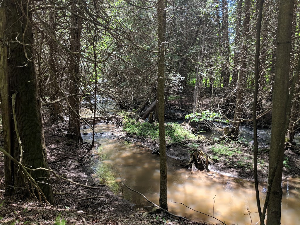 Old Baldy Conservation Area | 120 Old Baldy Access Rd, Kimberley, ON N4K 5N6, Canada | Phone: (519) 376-3076