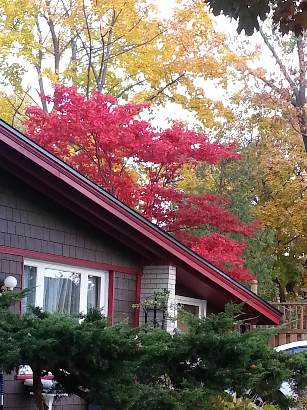 Home Safe Home | 17 Aveline Cres, Scarborough, ON M1H 2P4, Canada | Phone: (416) 391-1357