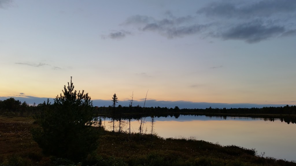 Torrance Barrens Dark-Sky Preserve | Southwood Rd, Gravenhurst, ON P0C 1M0, Canada | Phone: (800) 267-9700