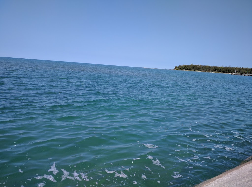 Beachside Cafe | 596 Harbour St, Port Elgin, ON N0H 2C5, Canada | Phone: (519) 832-5455