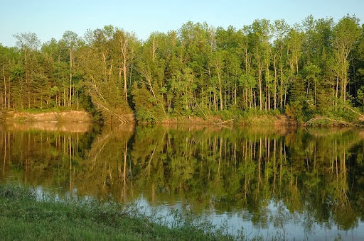 Fishers Paradise | 3636 ON-539, Field, ON P0H 1M0, Canada | Phone: (705) 758-1632