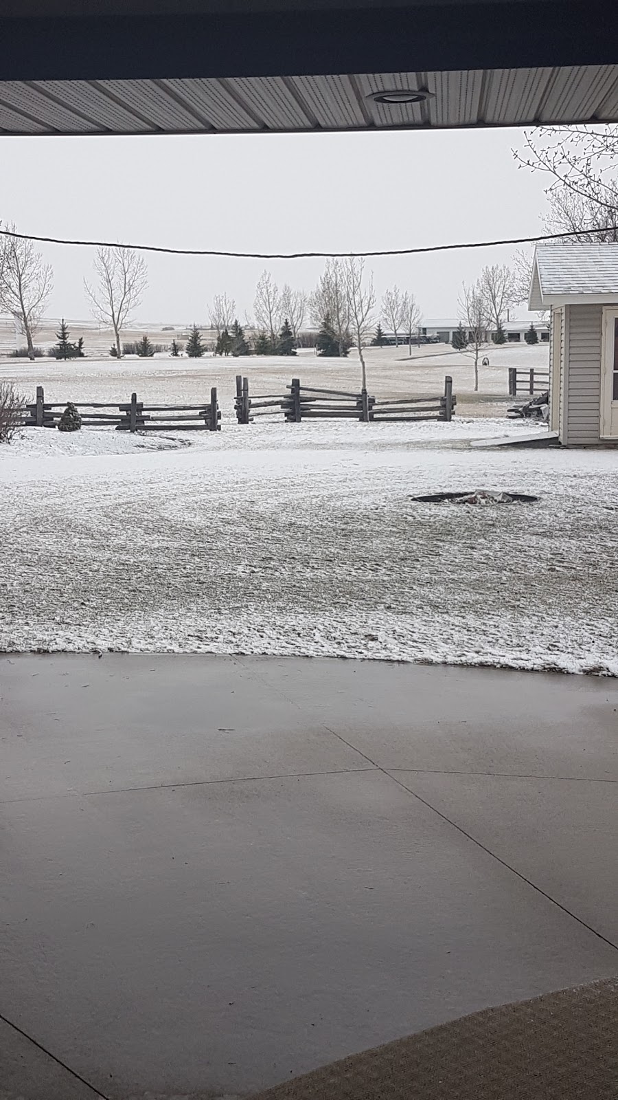 T L Bar Ranch | Highway 585, Trochu, AB T0M 2C0, Canada | Phone: (403) 442-2207