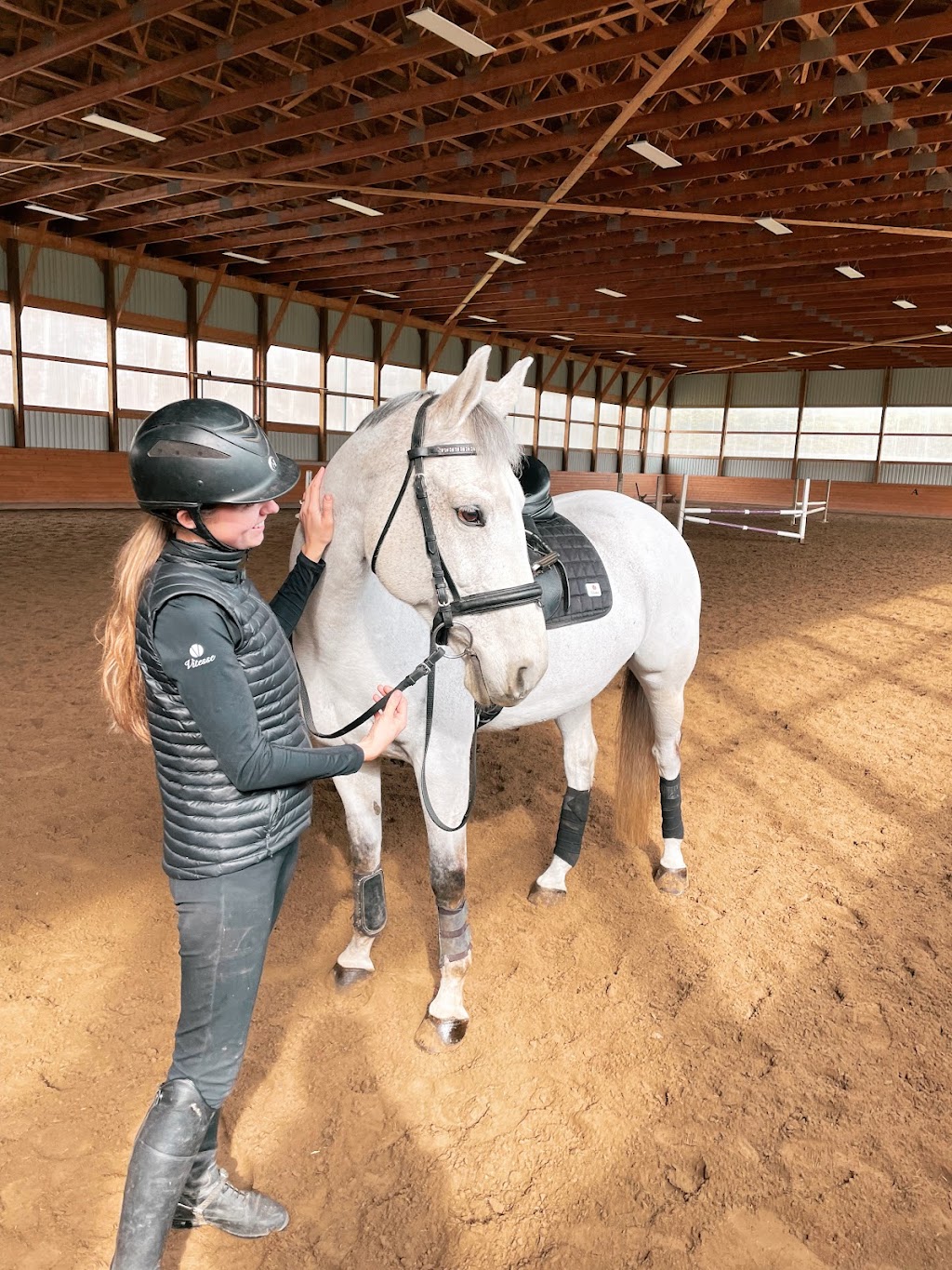 Vitesse Equestrian | 3875 202 St, Langley Twp, BC V3A 1R9, Canada | Phone: (604) 719-8716