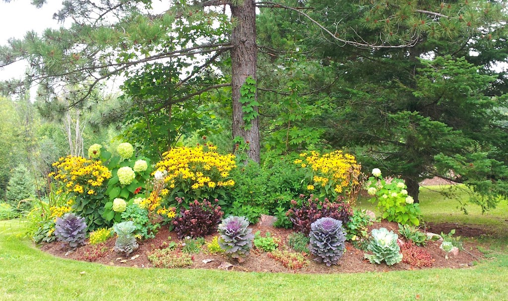 Living Landscapes | 2514 Harmony Rd, Corbyville, ON K0K 1V0, Canada | Phone: (705) 313-4769