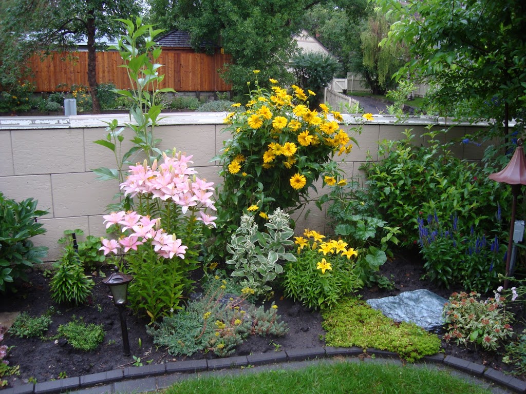Extra Special Plant Care Ltd | 236 Cedardale Bay SW, Calgary, AB T2W 5C8, Canada | Phone: (403) 815-8637
