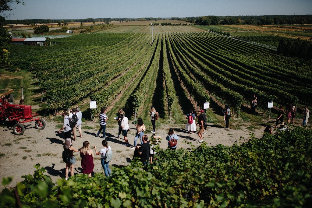 Vignoble & Microbrasserie Les Vents d'Ange 839 Chemin Principal