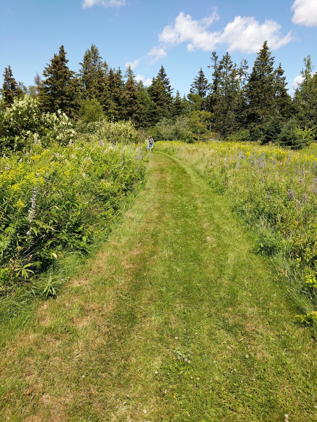 Shepody National Wildlife Area | NB-114, Riverside-Albert, NB E4H 2J9, Canada | Phone: (506) 882-2544