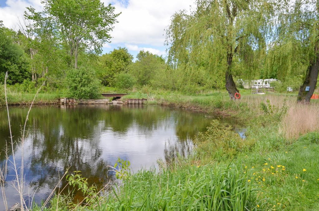 Bare Oaks Family Naturist Park | 20237 Kennedy Rd, Sharon, ON L0G 1V0, Canada | Phone: (905) 473-6060