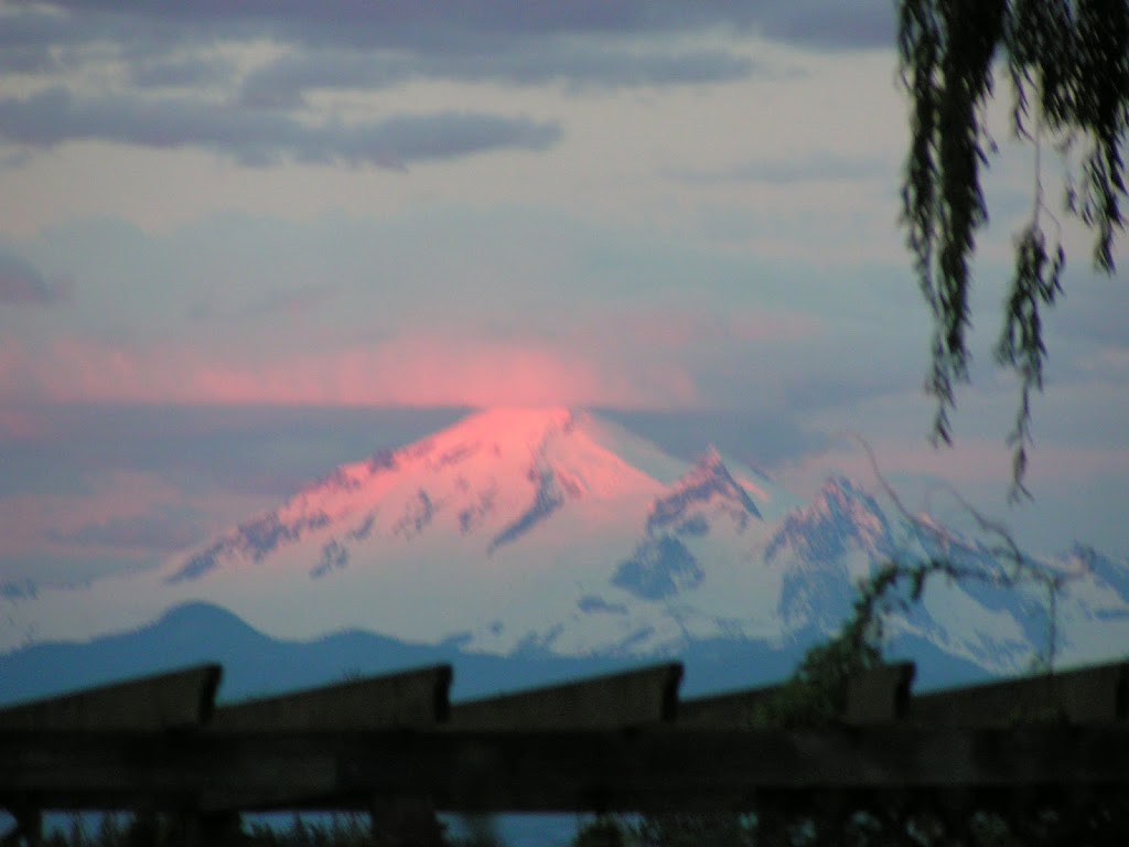 Healing Therapies | 6171 Northwest Dr, Ferndale, WA 98248, USA | Phone: (360) 312-1244