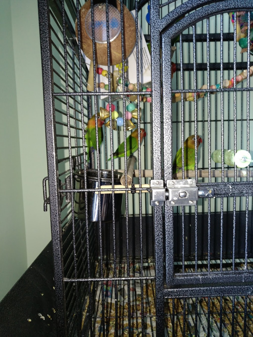 Meikas Birdhouse Ltd | 971 Ordze Rd, Sherwood Park, AB T8A 4L7, Canada | Phone: (780) 416-4435