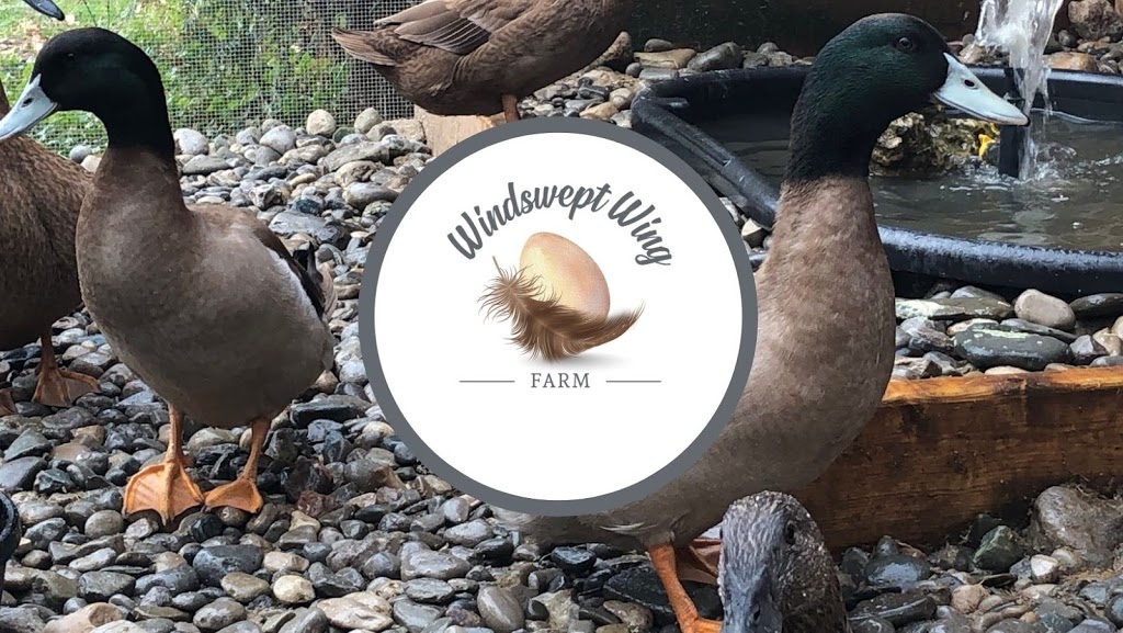 Windswept Wing Farm | 8045 5th Sideroad TOS, Everett, ON L0M 1J0, Canada | Phone: (416) 414-2219