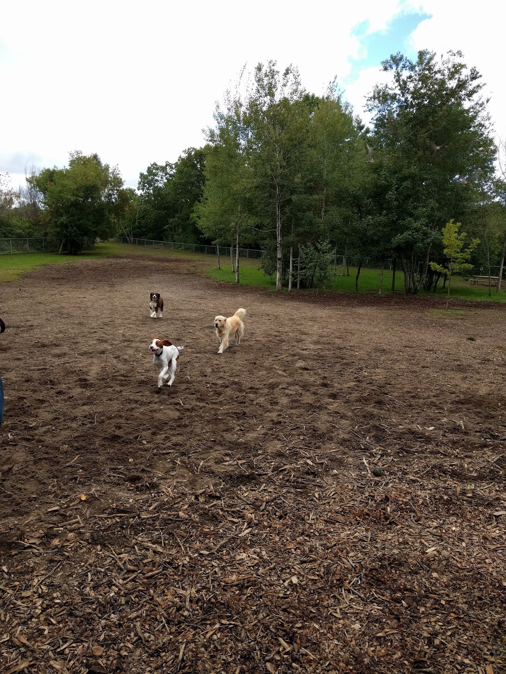 Staff Sergeant Larry Bigley K-9 Park | John St S, Gravenhurst, ON P1P 1J9, Canada | Phone: (705) 687-3412