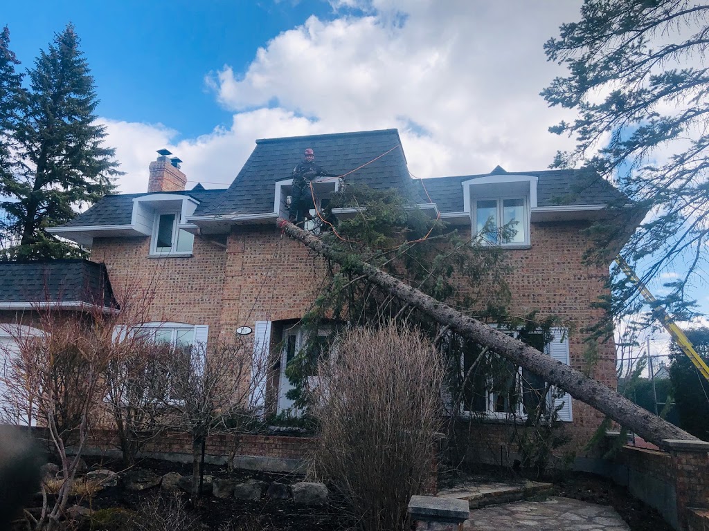 Service d’Arbres Beauchemin | 116 Chemin de lÎle dEmbarras, Sorel-Tracy, QC J3P 5N3, Canada | Phone: (514) 816-6804
