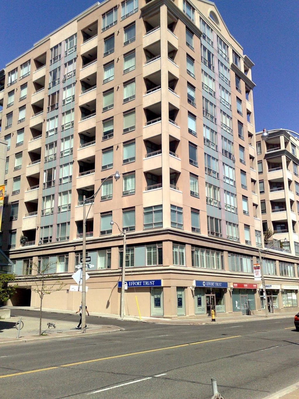 T-Rex Window And Eaves Cleaning Inc | 38 Kanarick Crescent, North York, ON M3L 1P4, Canada | Phone: (416) 531-8739