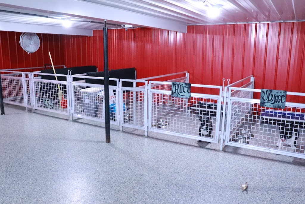 ÉLEVAGE COUGAR | 2319, route 269 Sud, Saint-Gilles, QC G0S 2P0, Canada | Phone: (418) 888-3545