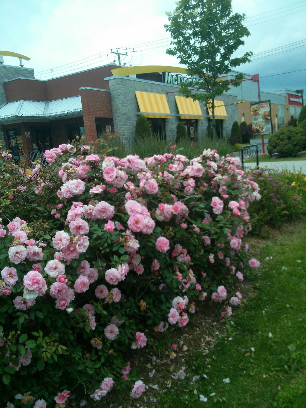 Plaza Beaconsfield | 40-44 Boulevard Saint-Charles, Beaconsfield, QC H9W 5Z6, Canada