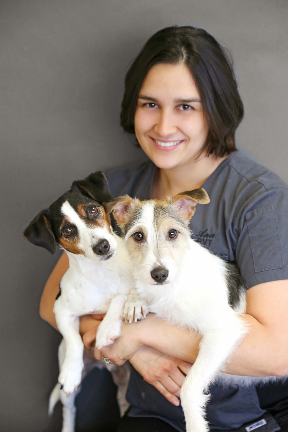Animal Hospital Of Cambridge | 621 Hespeler Rd, Cambridge, ON N1R 6J3, Canada | Phone: (519) 624-9760