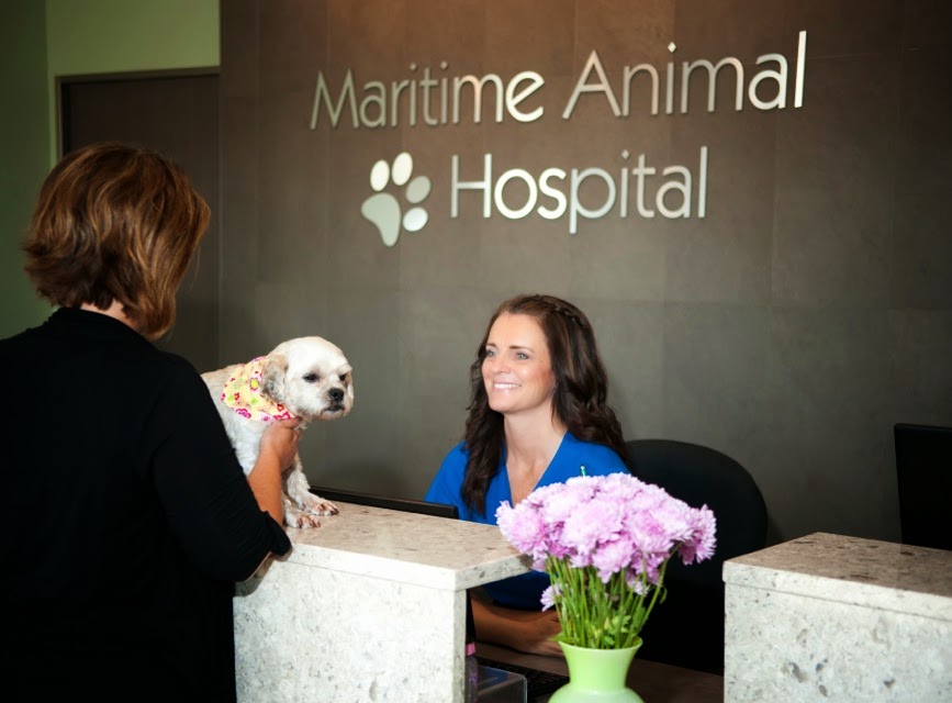 Maritime Animal Hospital (Moncton) | 1755 Main St, Moncton, NB E1E 1H2, Canada | Phone: (506) 389-2121