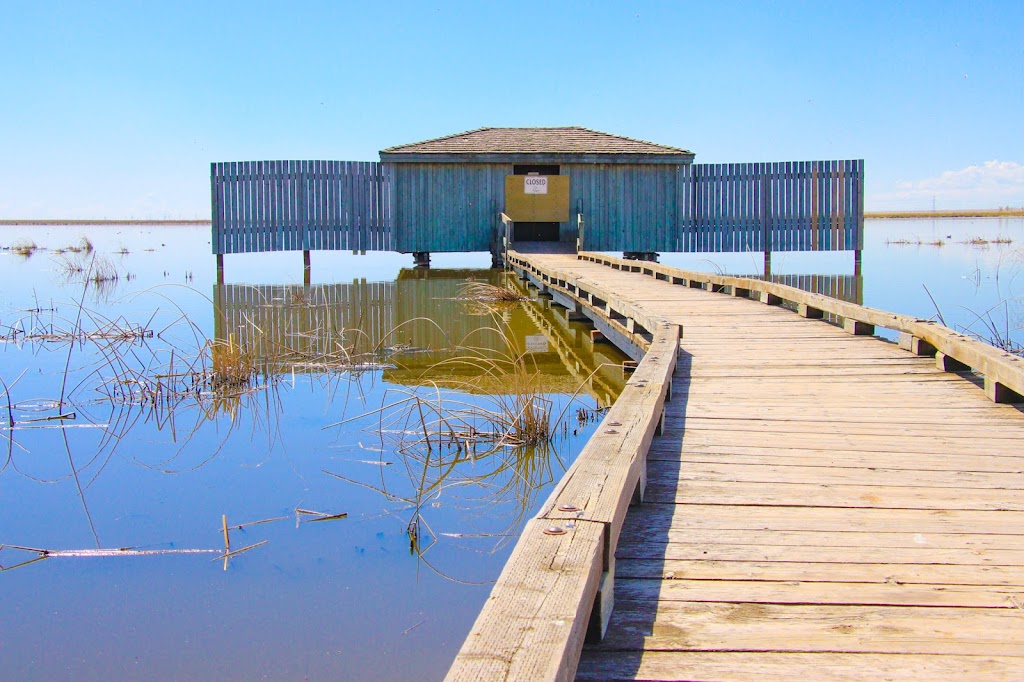 Frank Lake - Ducks Unlimited Conservation Site | Township Rd 190, Blackie, AB T0L 0J0, Canada | Phone: (403) 465-3310