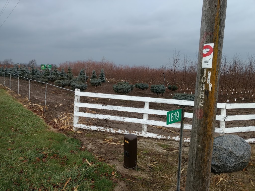 Janda Trees | 1819, County Rd 42, Stayner, ON L0M 1S0, Canada | Phone: (416) 565-4415