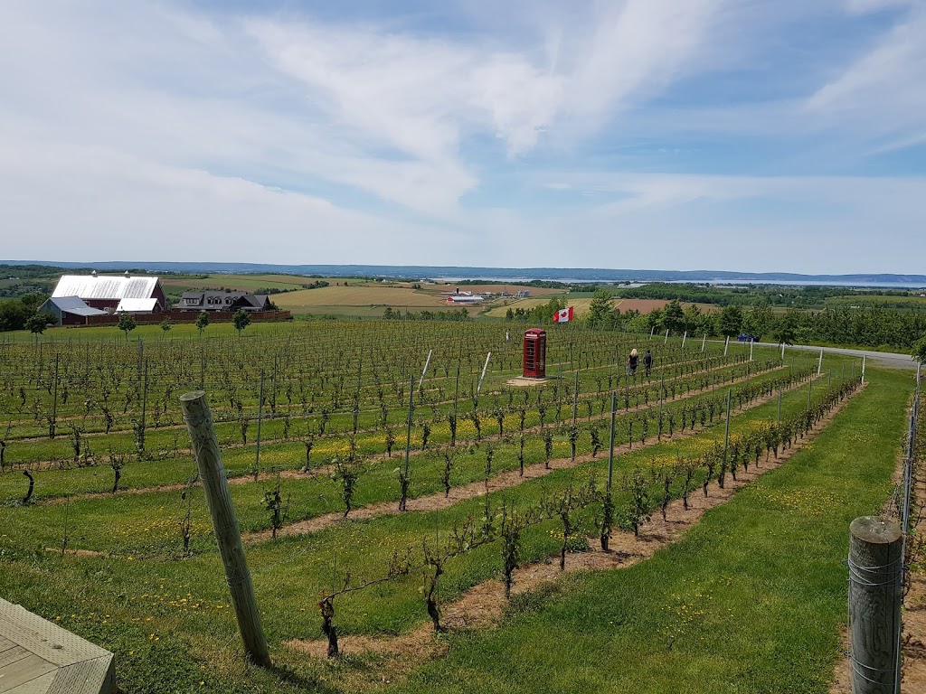 Magic Winery Bus Limited | 11 Willow Ave, Wolfville, NS B4P 1A1, Canada | Phone: (902) 670-0340