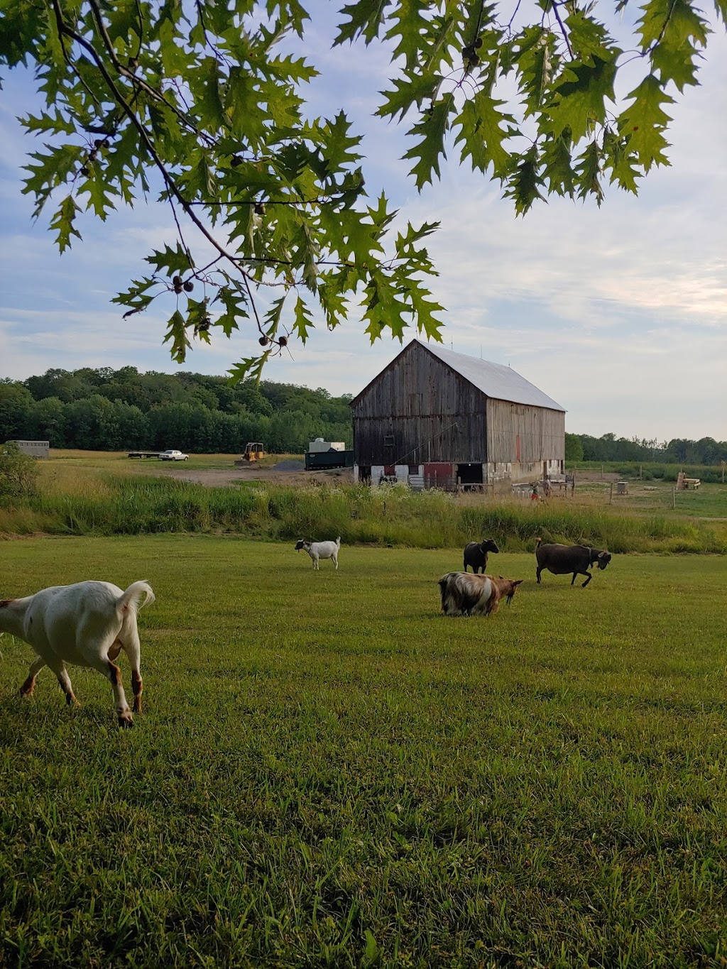 Sky River Meadows | 1263 Three Mile Lake 1 Rd, Utterson, ON P0B 1M0, Canada | Phone: (705) 787-5679