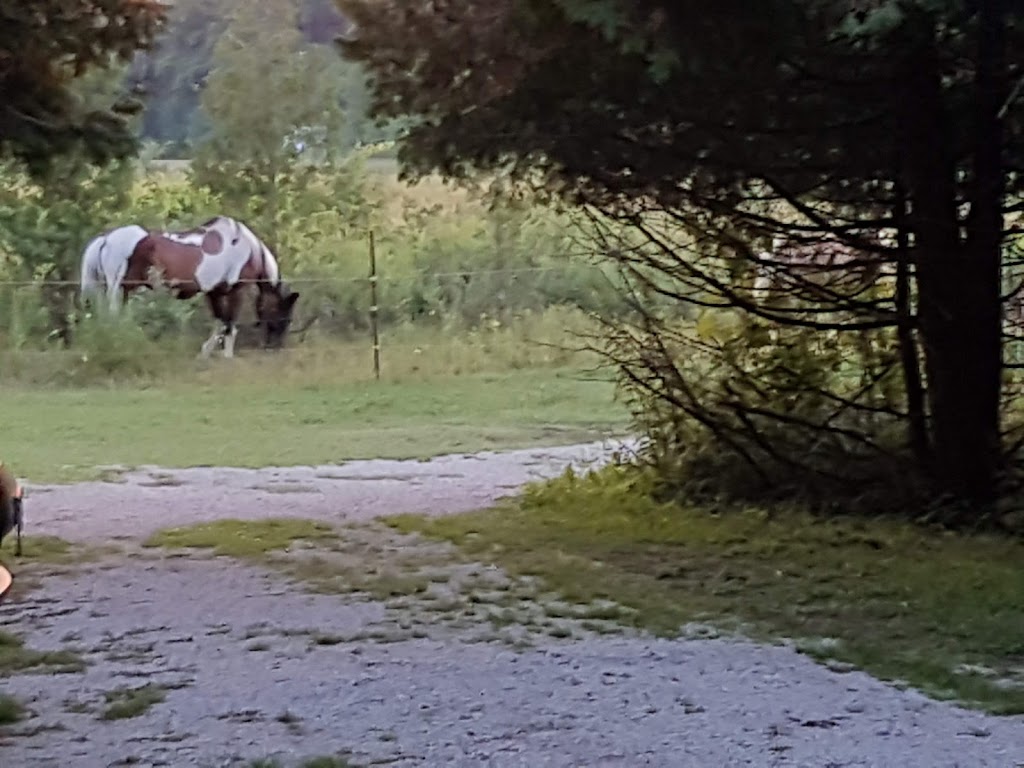 Sunny Valley Park | RR 4 Stn Main, Owen Sound, ON N4K 5N6, Canada | Phone: (519) 794-3297