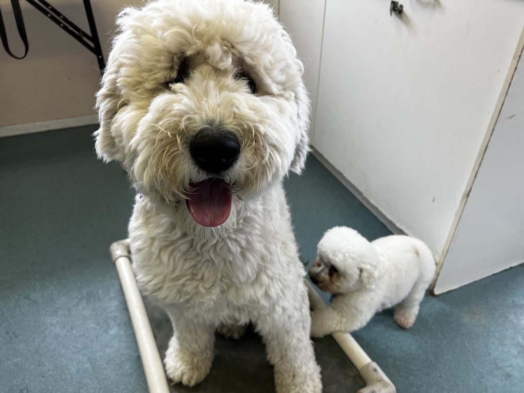Family K9 Dog Training | 1269 Rte Harwood, Vaudreuil-Dorion, QC J7V 8P2, Canada | Phone: (514) 990-5959