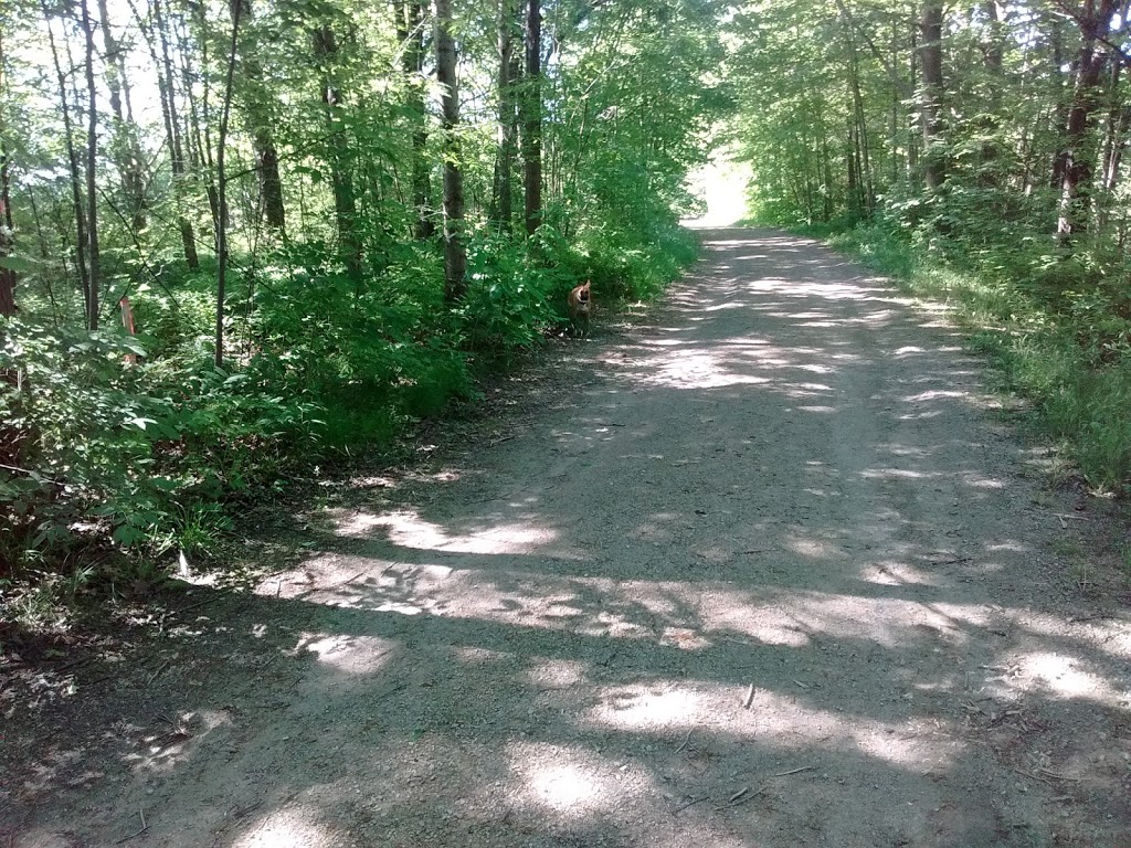 St Clair Hiking Trail rest area | St Clair, MI 48079, USA