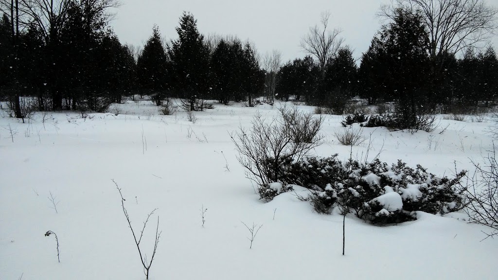 NCC Greenbelt P4 | Timm Dr, Ottawa, ON K2L 4G2, Canada