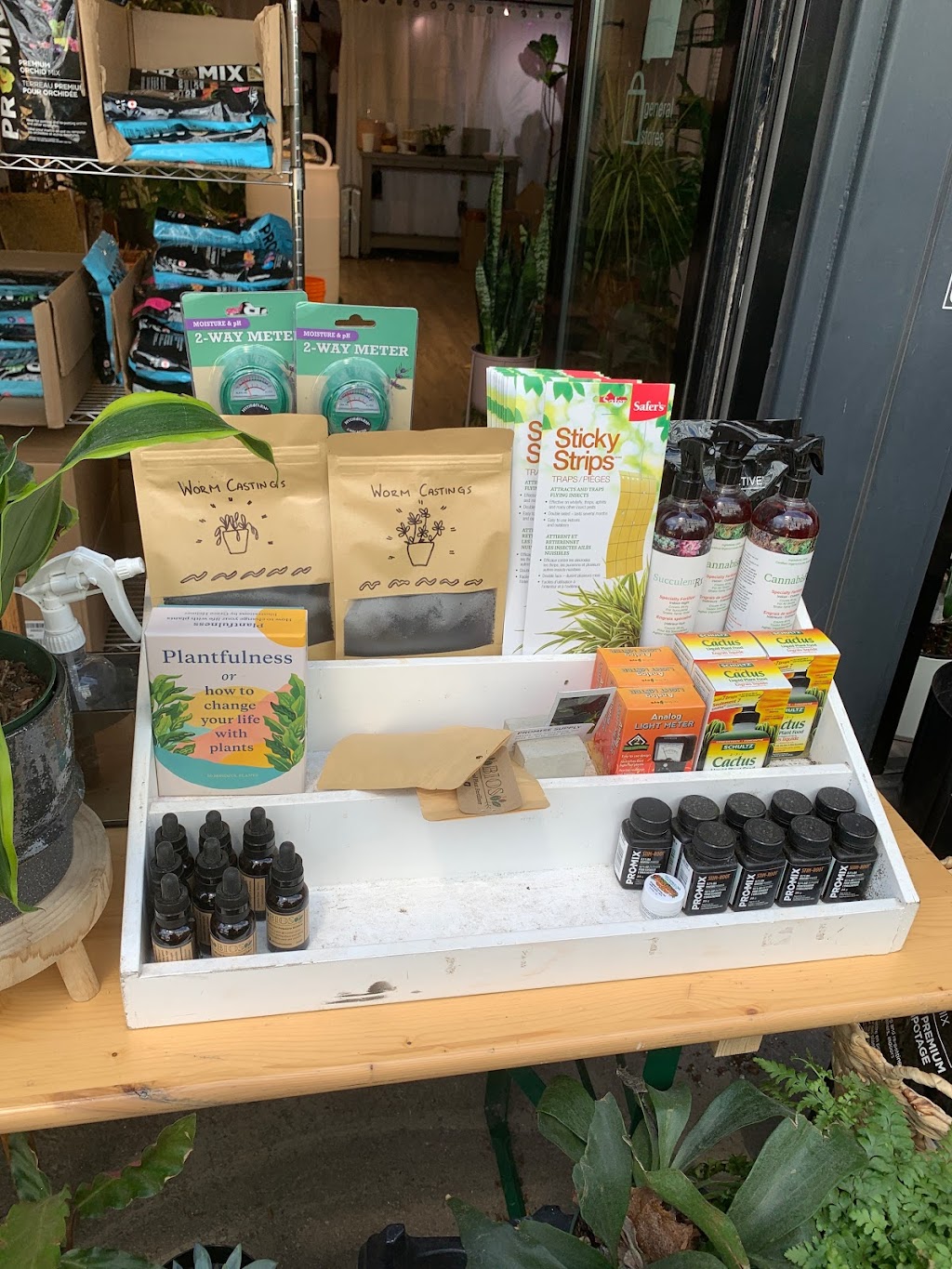 Promise Supply Plants at stackt | 28 Bathurst St, Toronto, ON M5V 0C6, Canada | Phone: (647) 957-8291