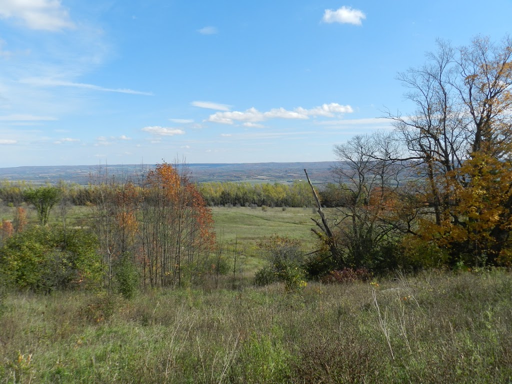 Epping Lookout Conservation Area | Eric Winkler Pkwy, Grey Highlands, Ontario, Canada, Grey Highlands, ON N0C 1G0, Canada | Phone: (519) 376-3076